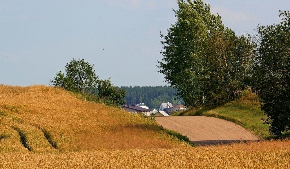 Фотография автора Valery Bel@kov