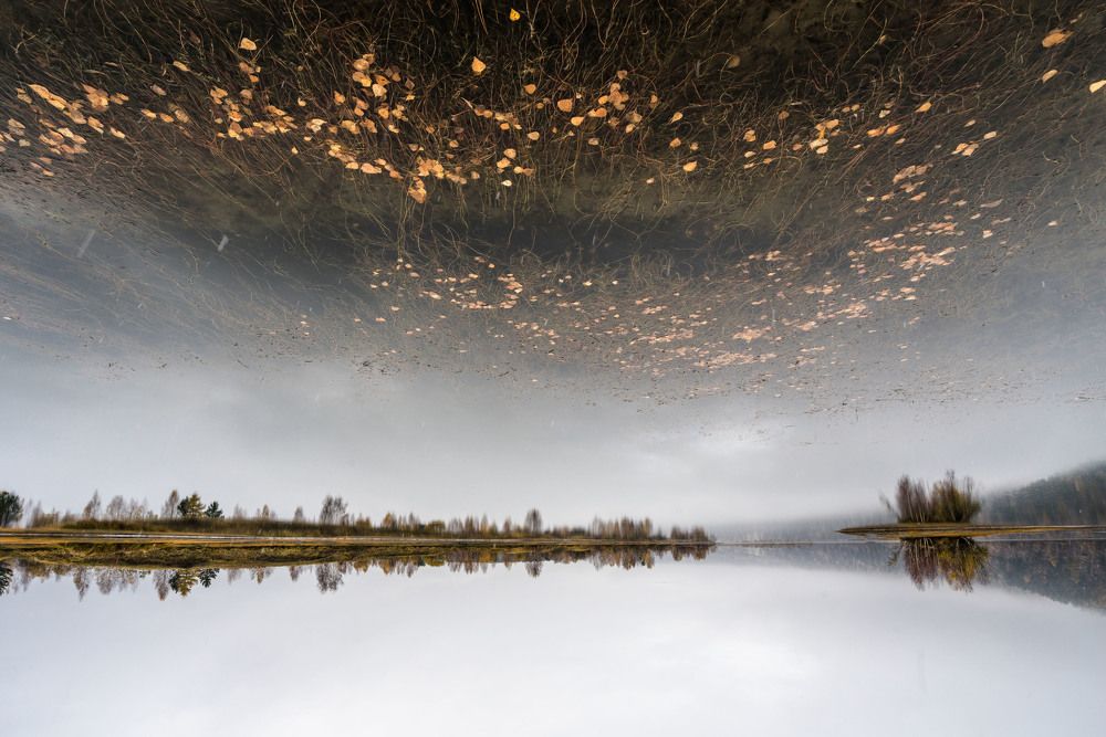 Осень неизбежна