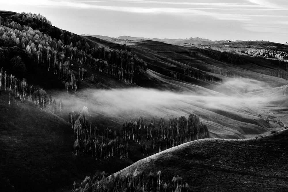 Morning White Blanket