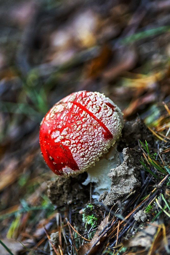 Фотография автора Игорь Иванов