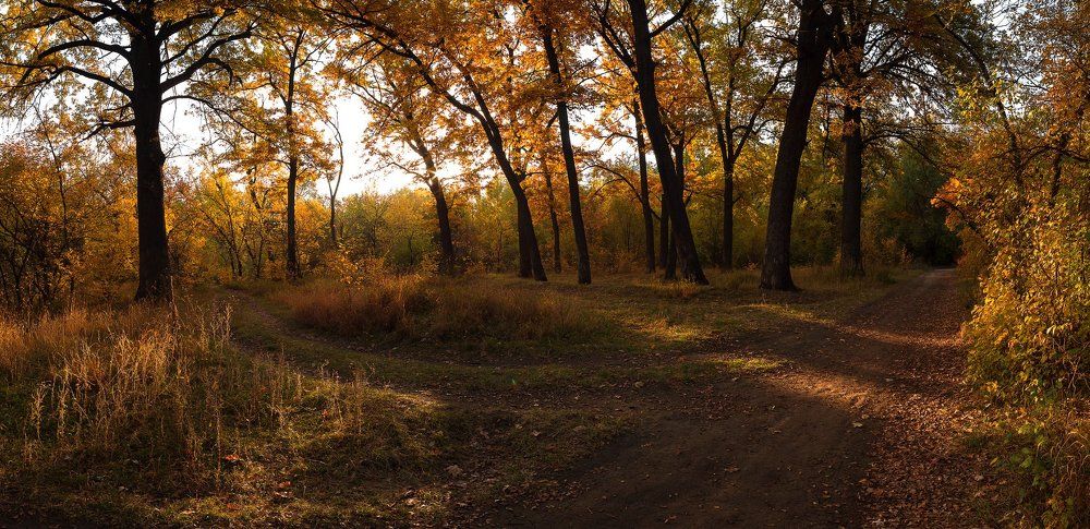 Золотая осень