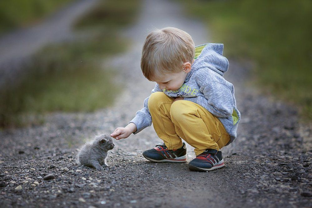 Photograph by Валерия