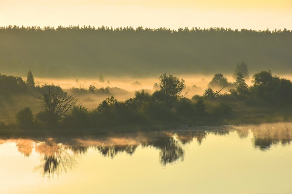 Раннее утро на Волге