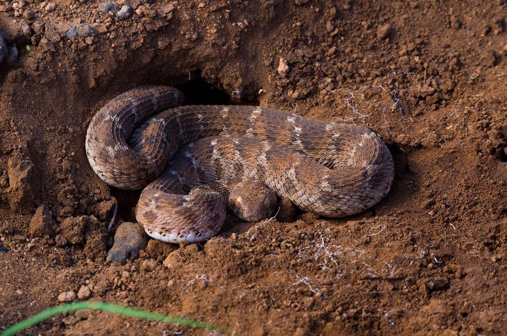 Затишье перед бурей