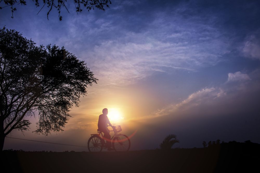 ঘরে ফেরা