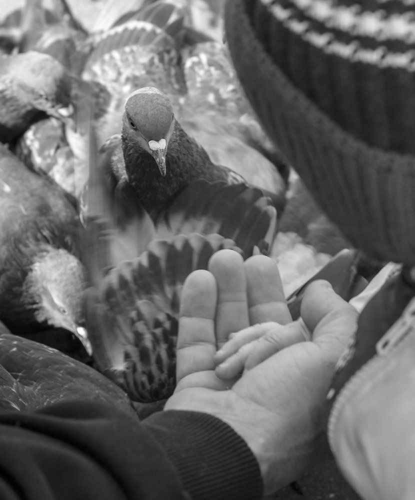 Давай дружить.