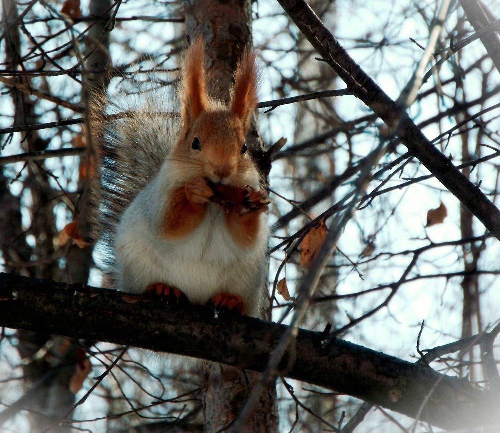 перерыв на обед