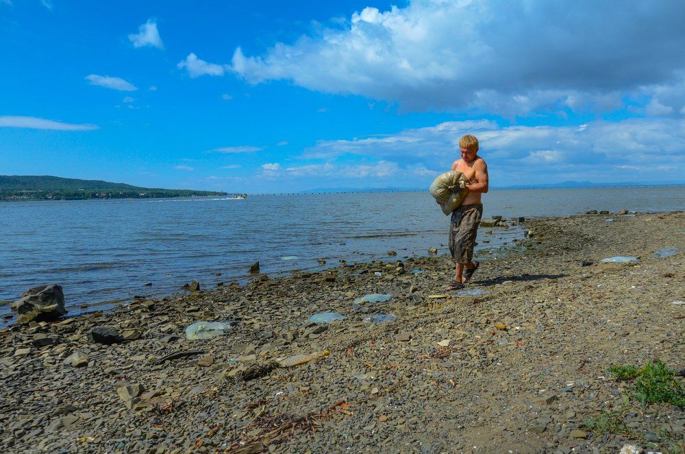Собиратель медуз