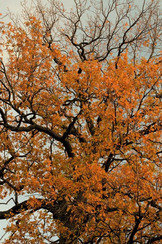 Photograph by Высочина Ирина