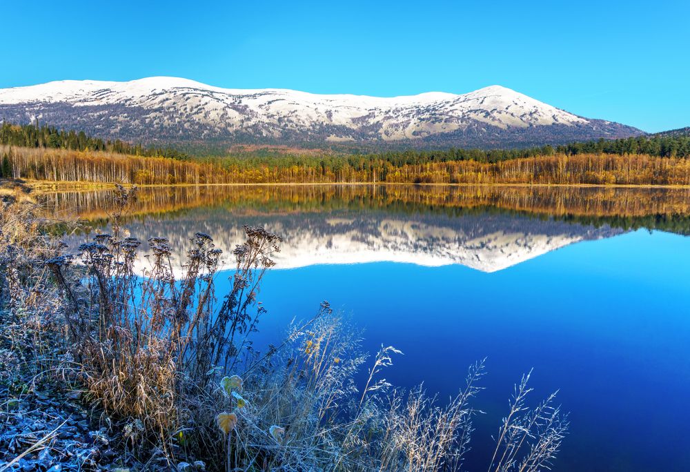 Осенняя сказка