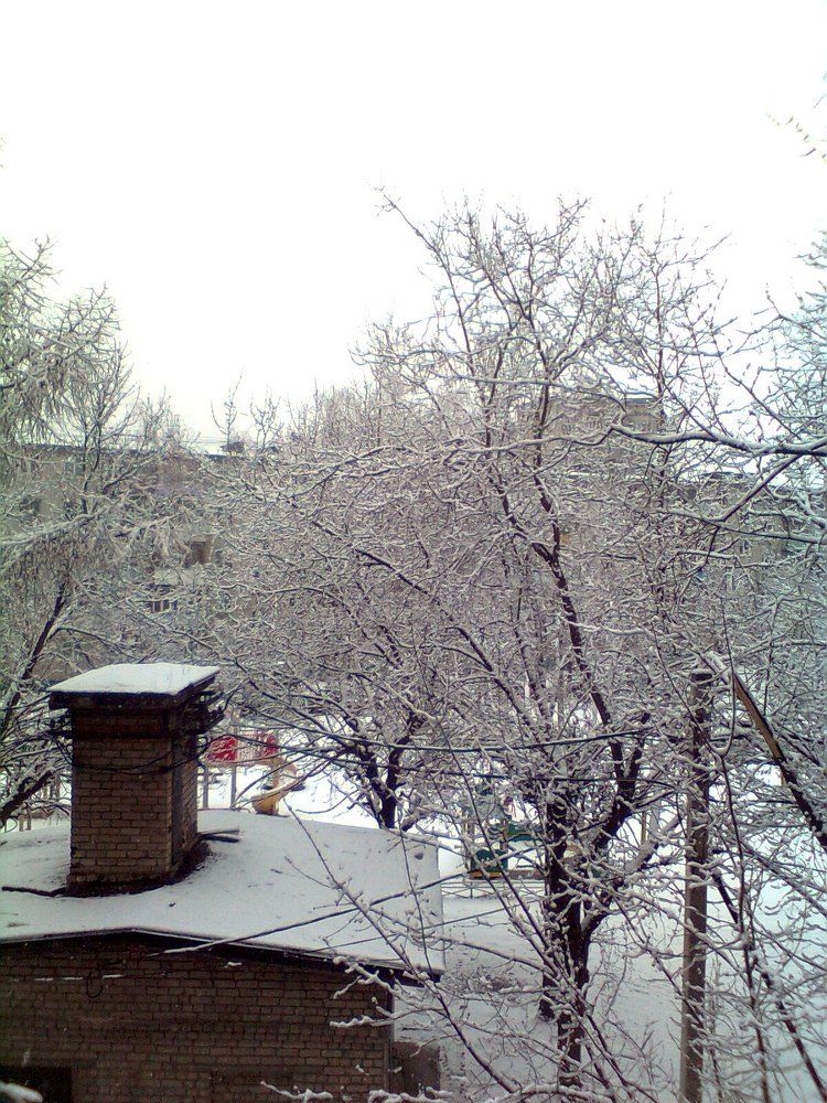 Первый снег