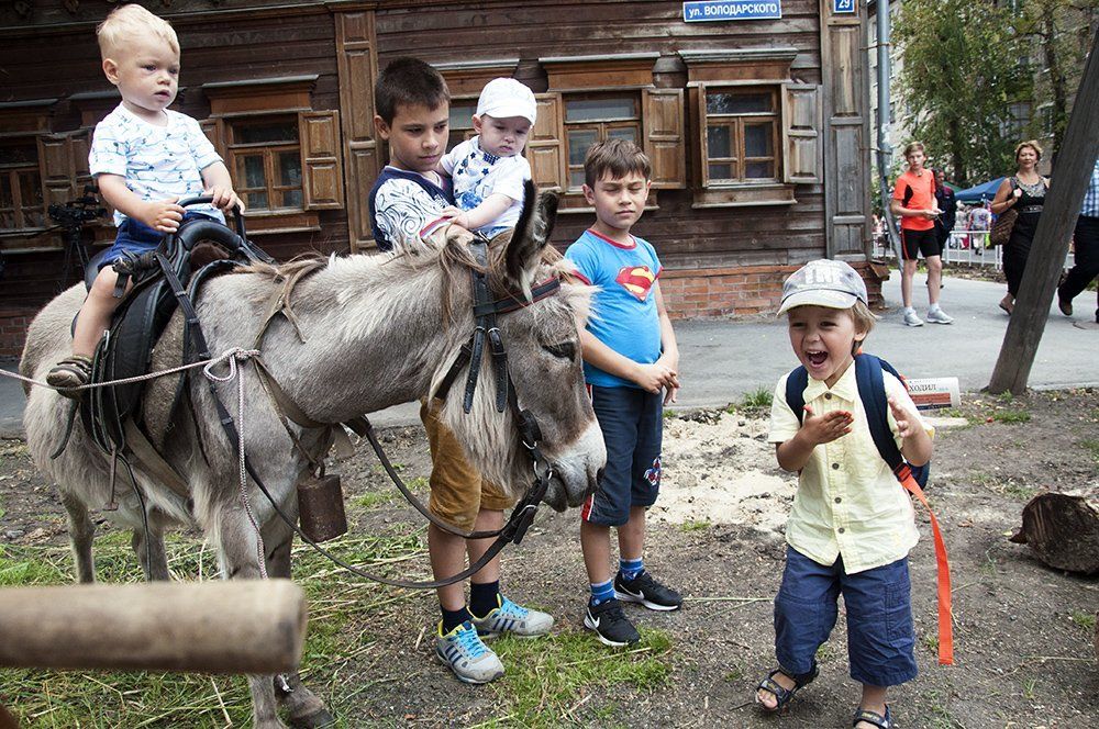 Удивительное рядом