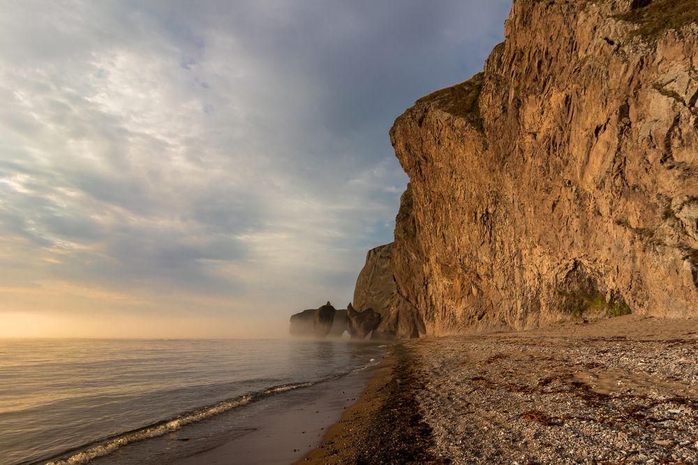 Бухта дубовая