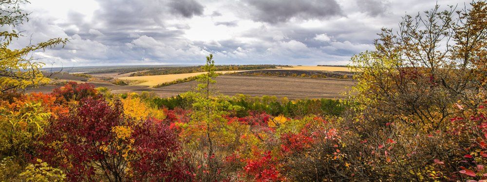 Палитра осенних склонов
