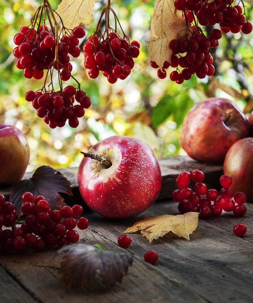 Прекрасная осень.