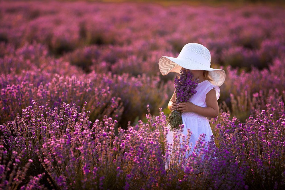 Лавандовый закат...