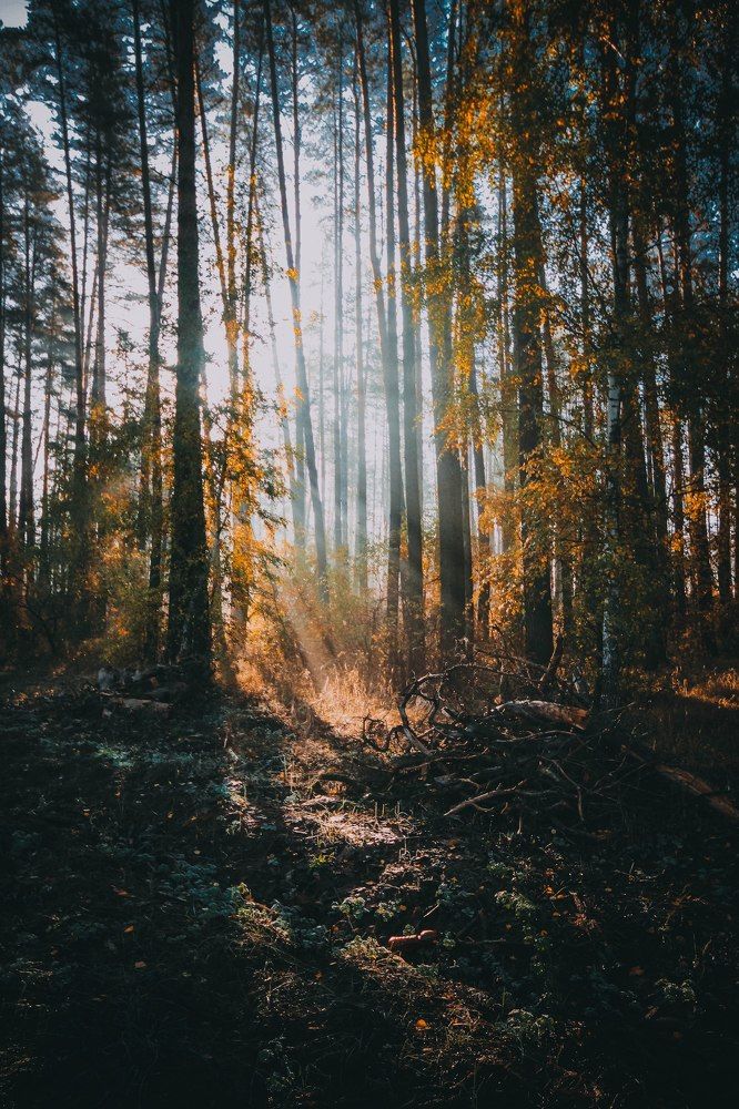 Photograph by Лебедева Света