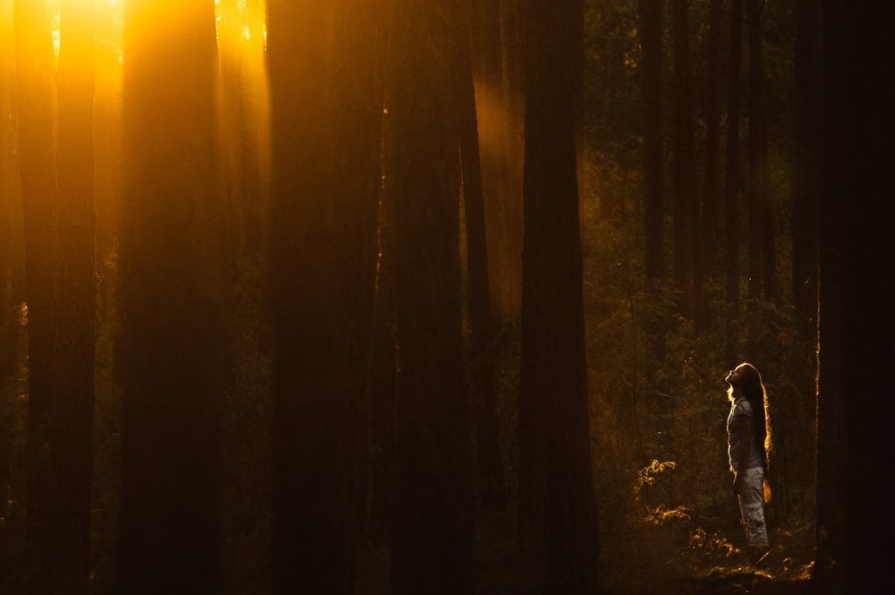 Photograph by Еремеев Евгений