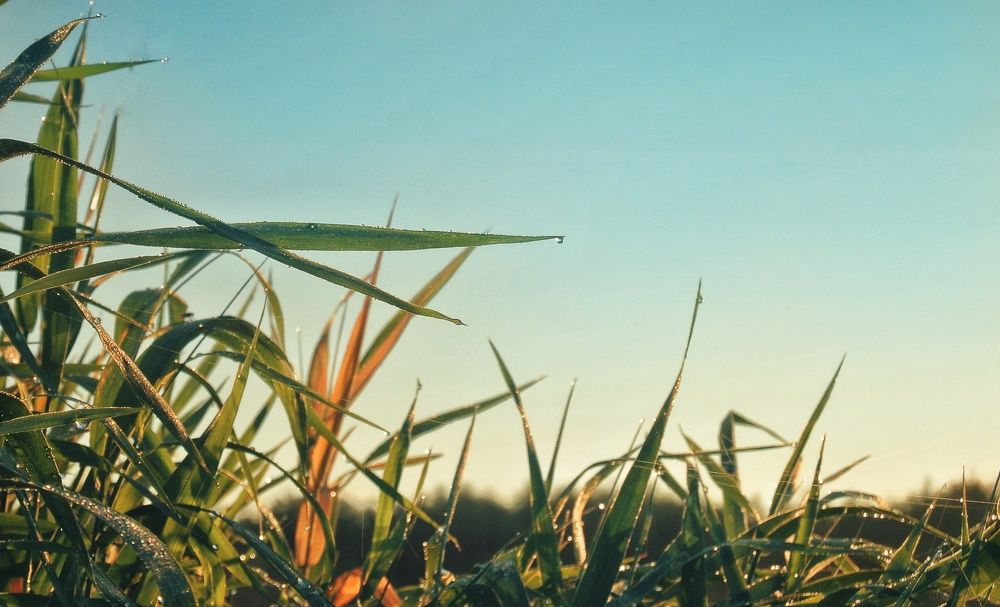 Photograph by Евгений