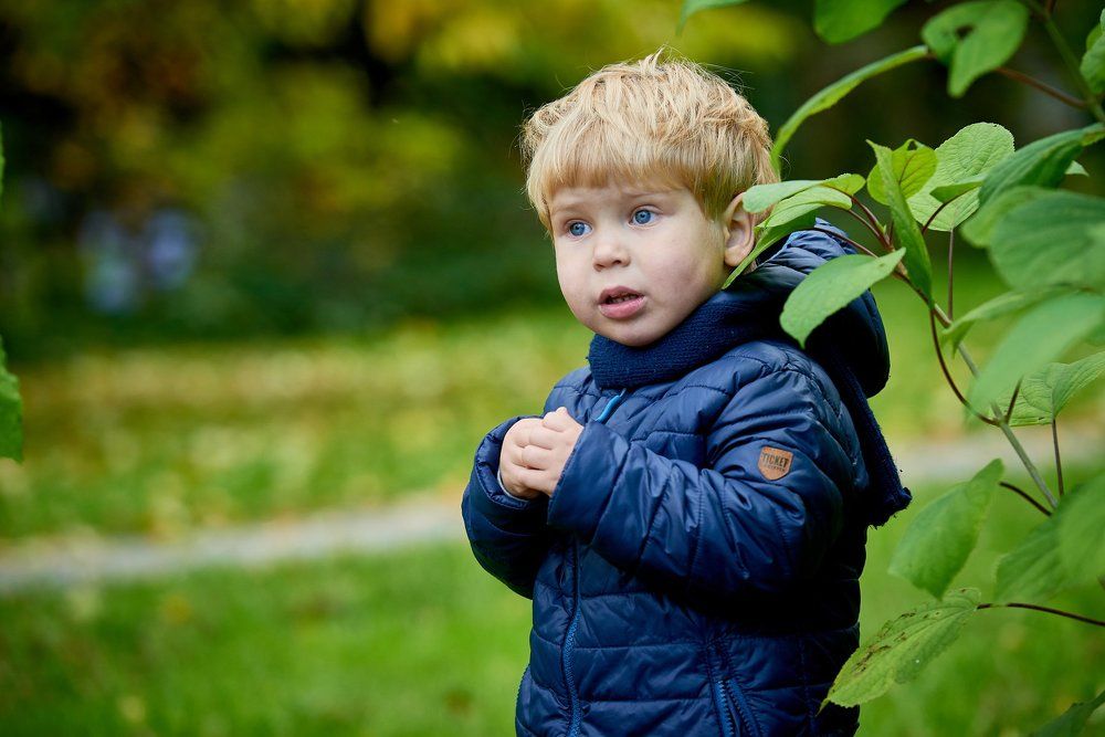 Принц Алексей.