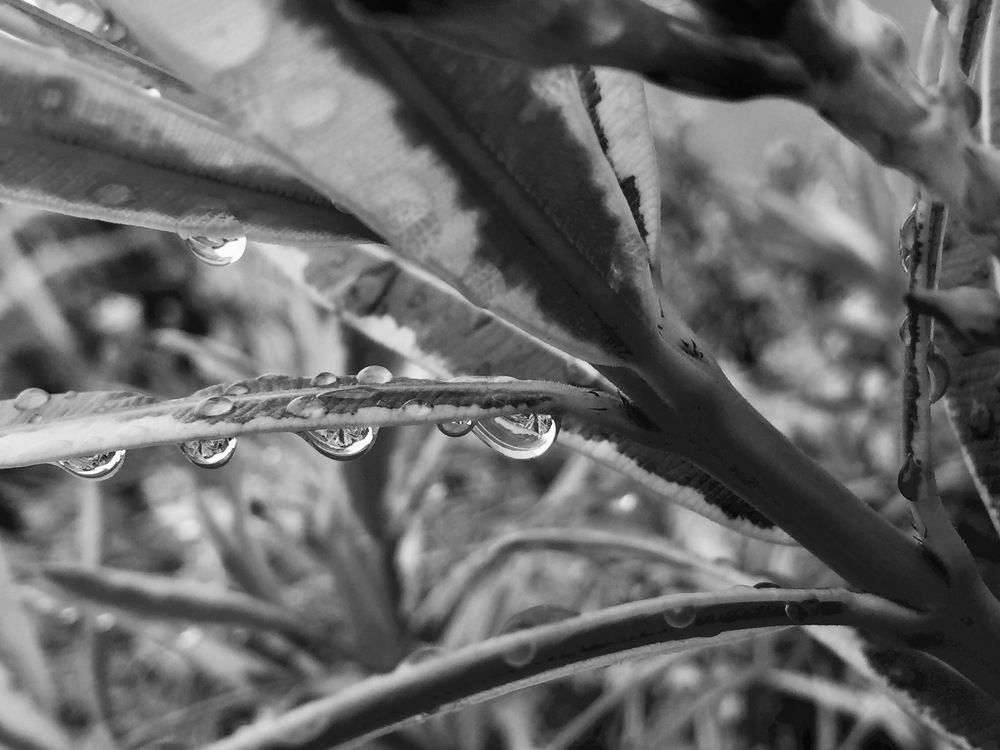 Droplets