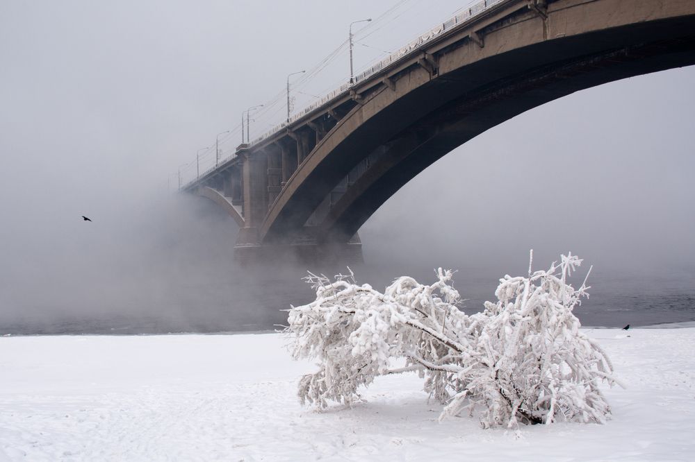 Photograph by Щербакова Галина