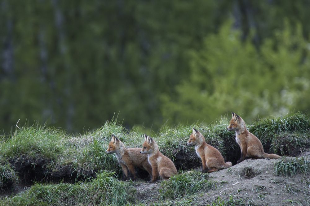 Когда мама ушла в магазин.