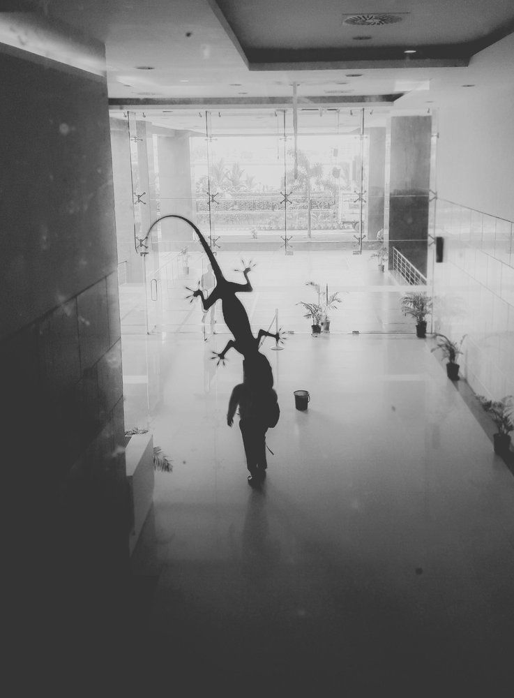 Hungry Lizard
