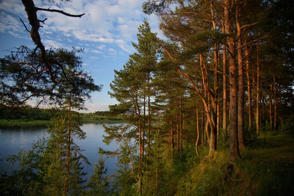 Волжские берега