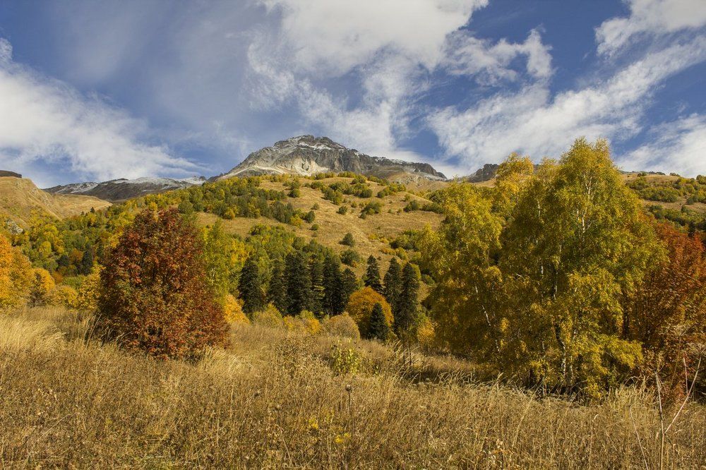 Гора Семенов-Баши
