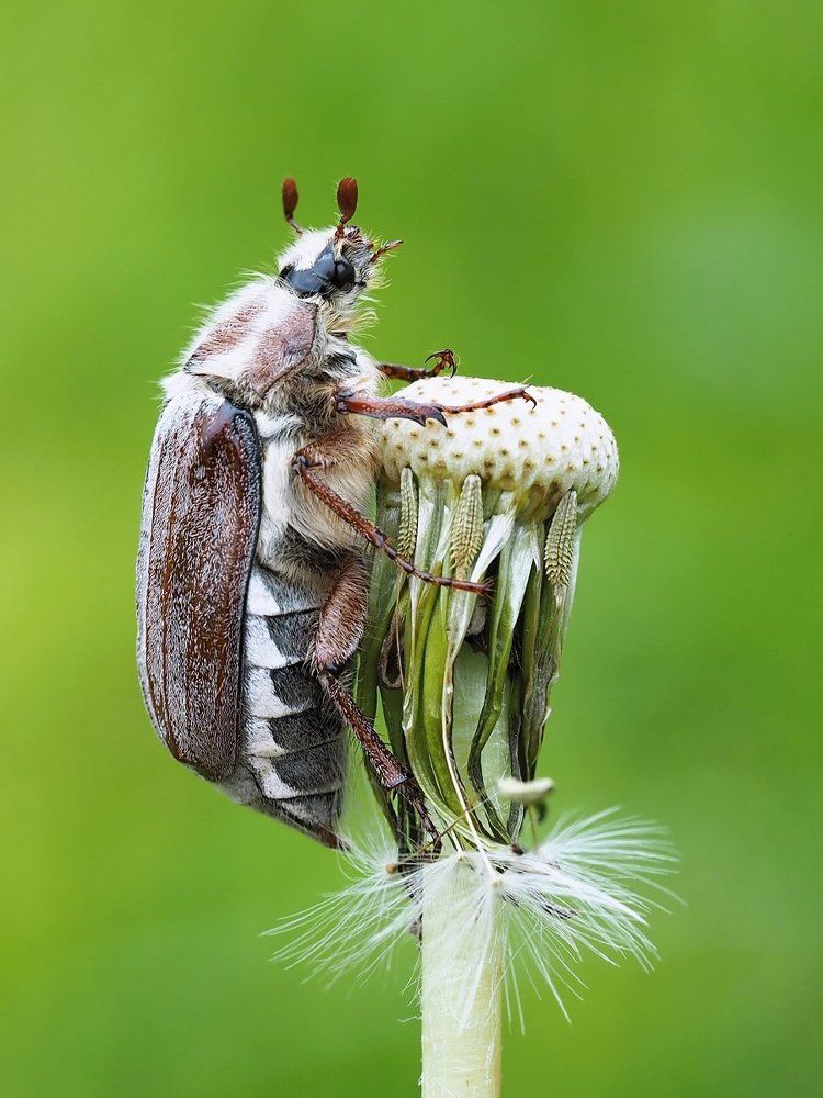 - Где же официант?