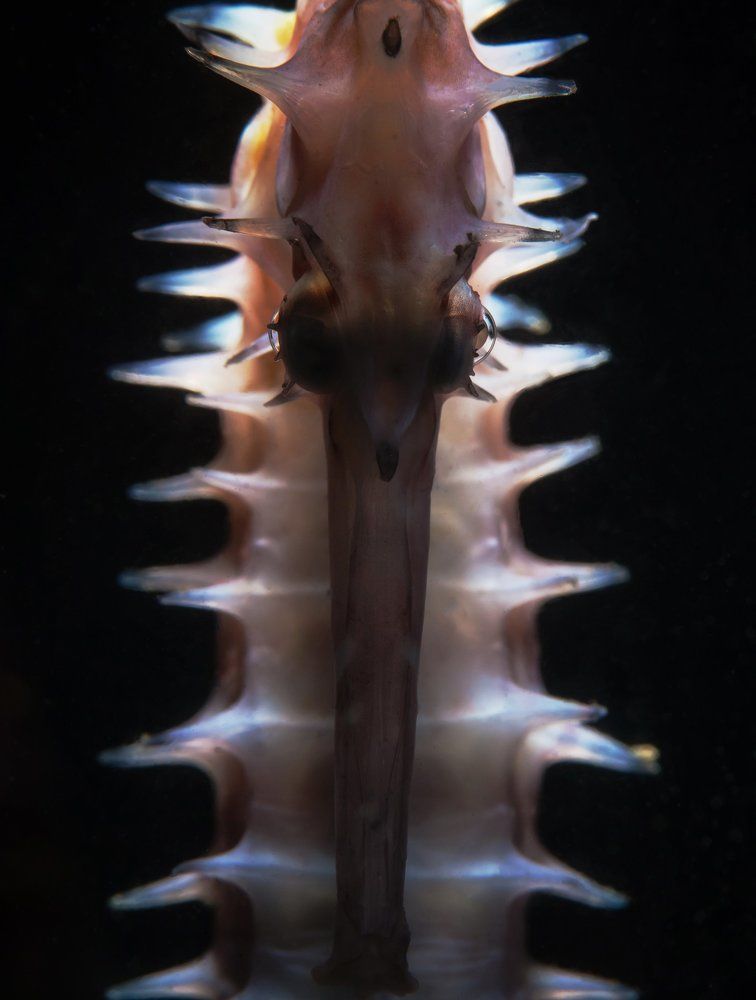 Photograph by Нонна Покрас