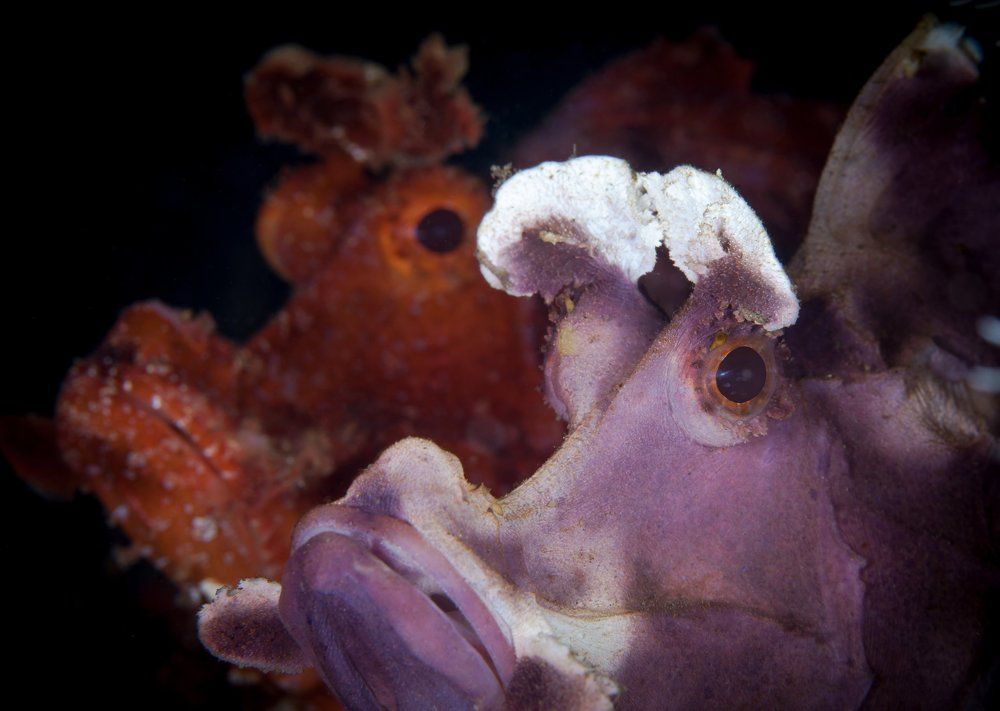 Родственники