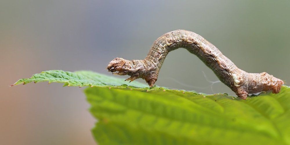 - Очень спешу!..