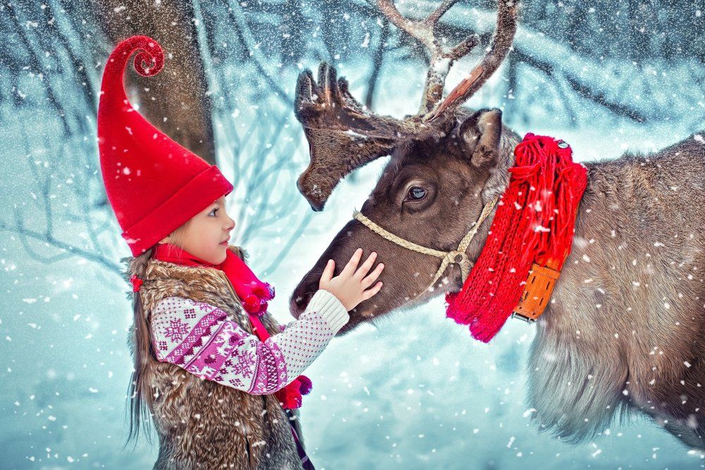 Северный олень