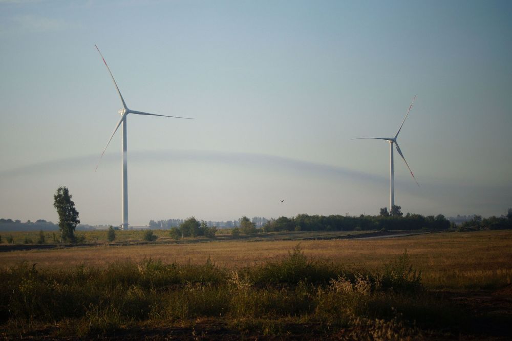 "Шишкинский пейзаж" в двадцать первом веке