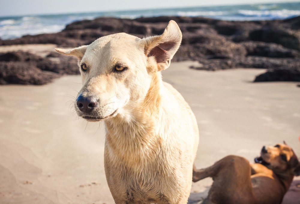 Photograph by Дарья