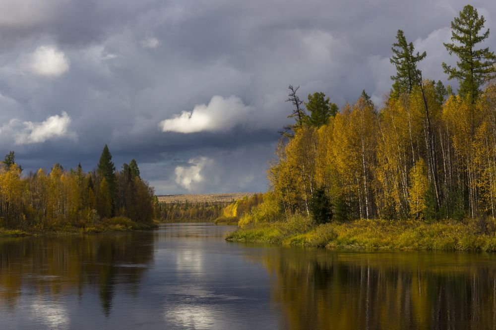 Там где бродят олени