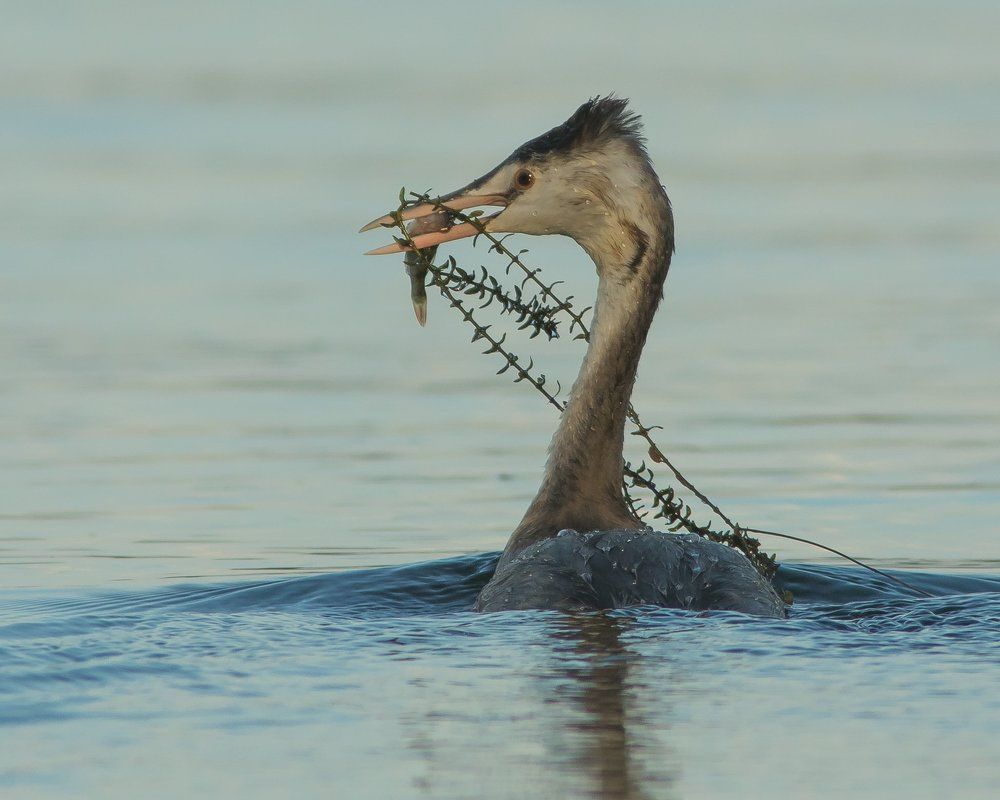 Юный рыболов