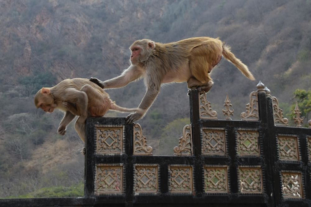 Убирайся, это мое место!