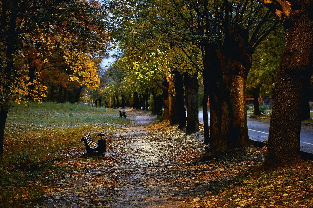 autumn
