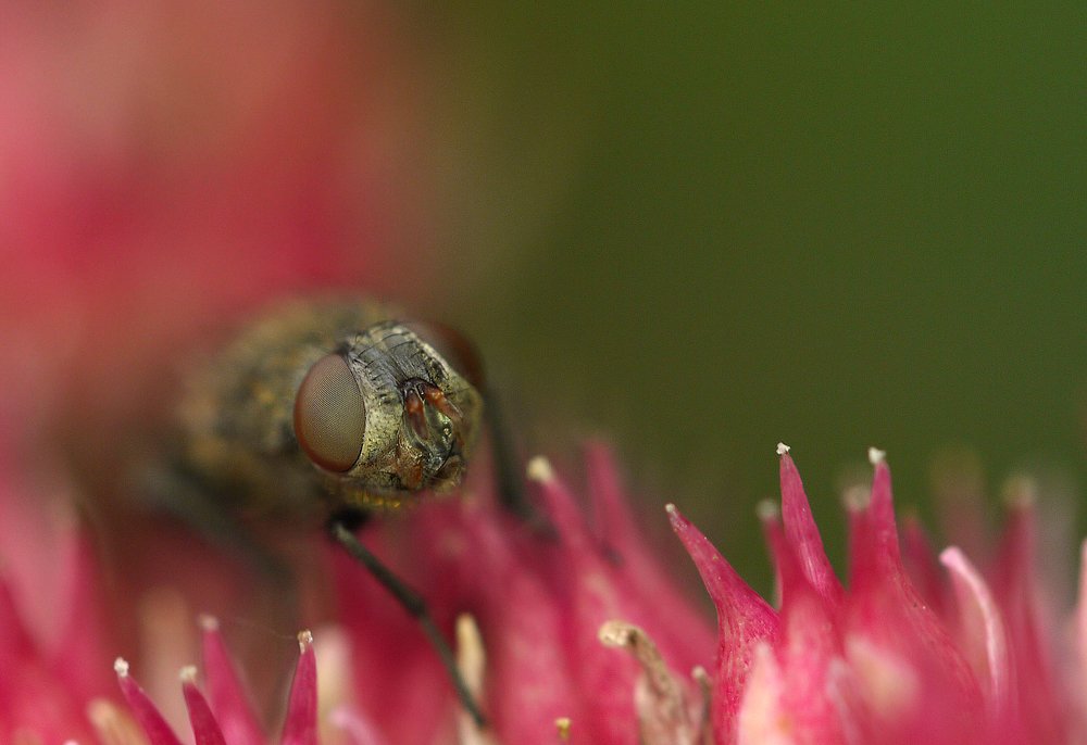 Photograph by Тим Талер