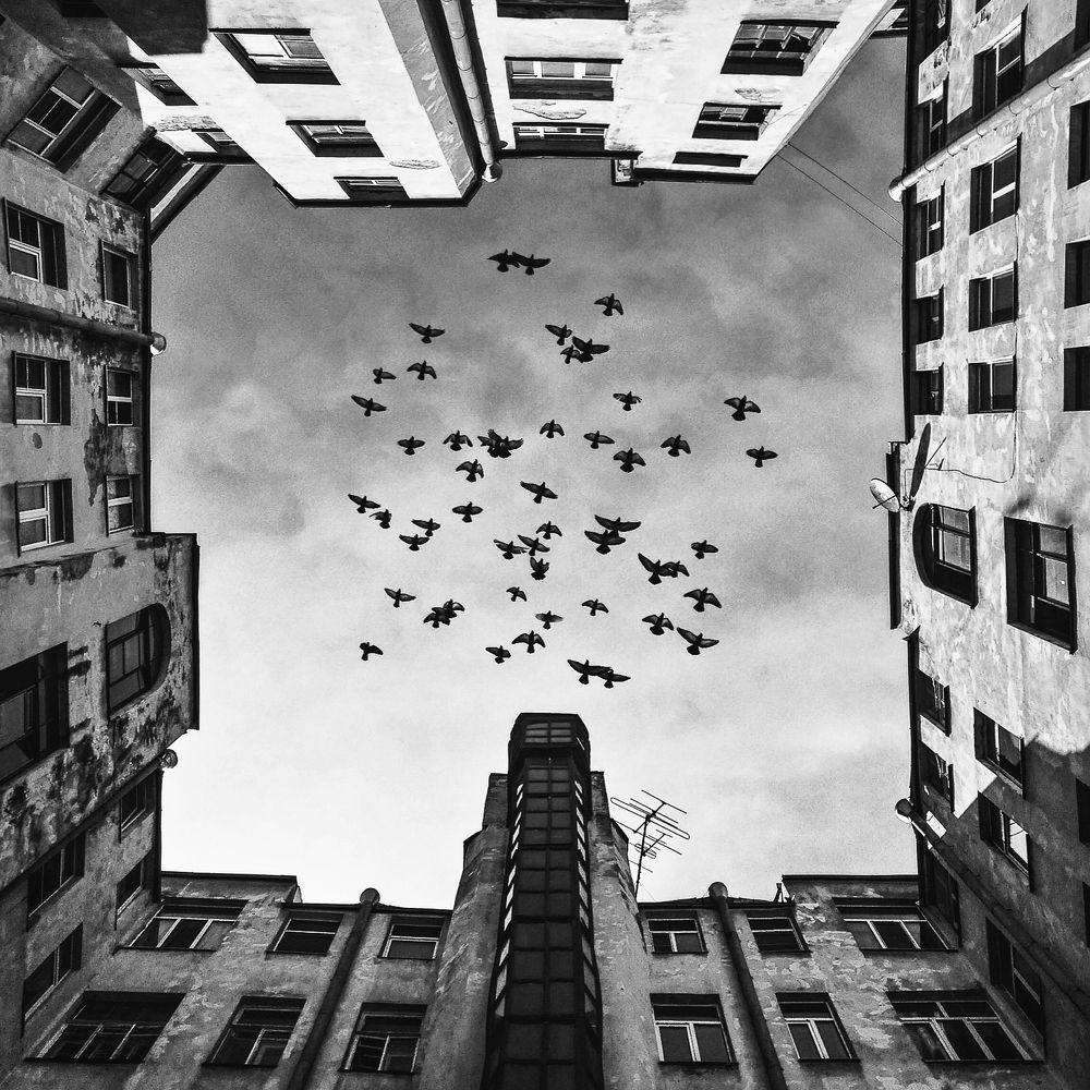 Типичный Питер