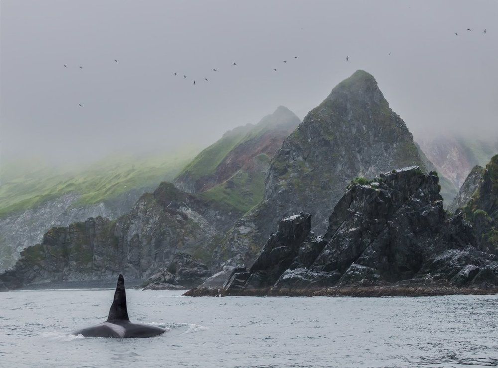 Тихий туманный вечер на берегу океана