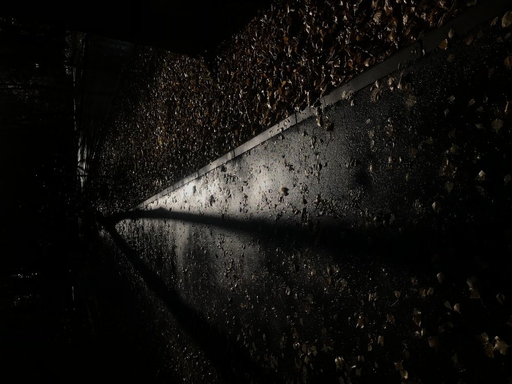 Photograph by Костина Мария