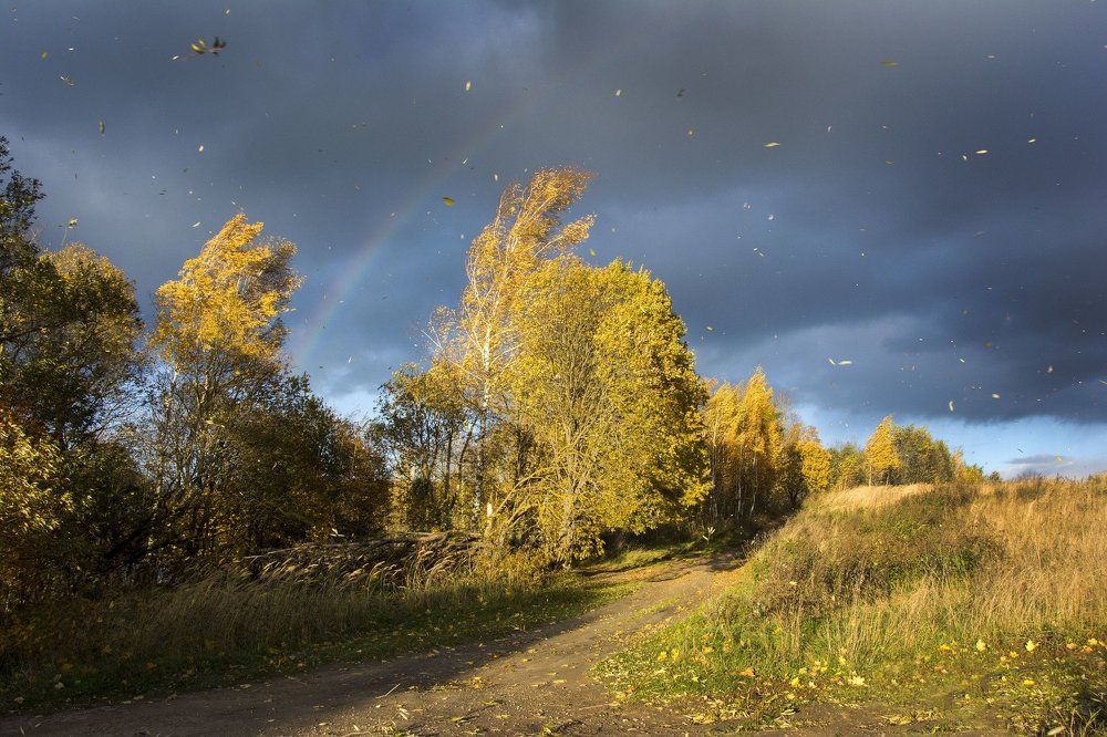 Осенний этюд