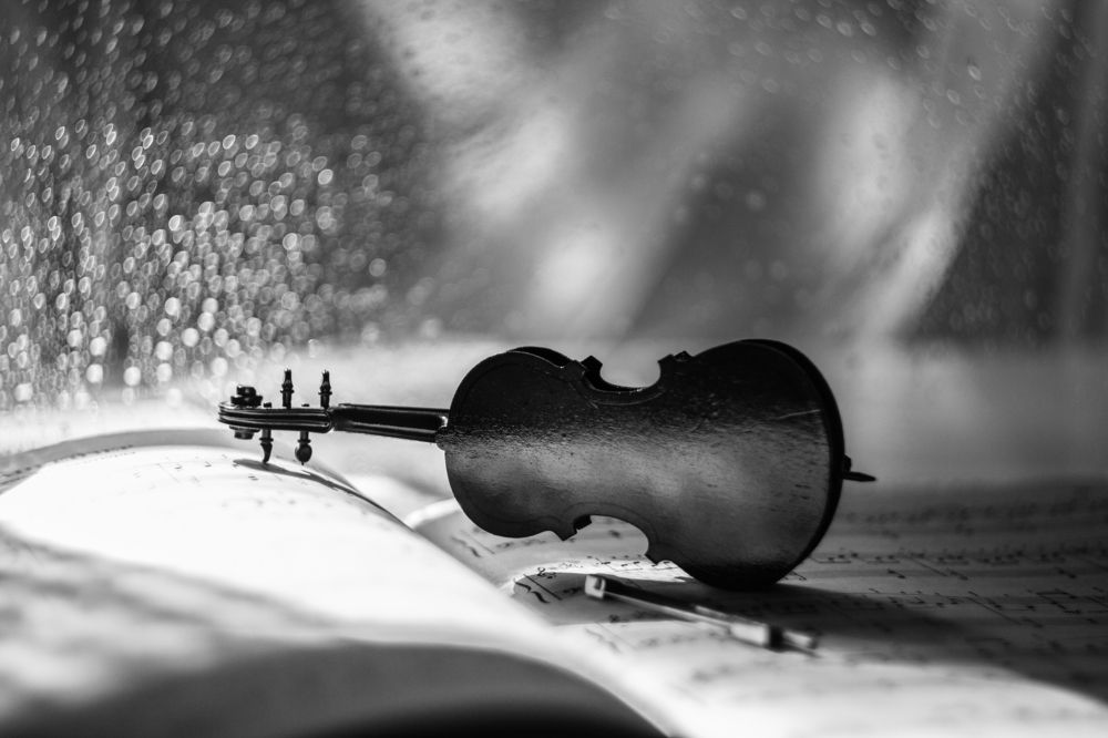 Photograph by Александра Шайдурова