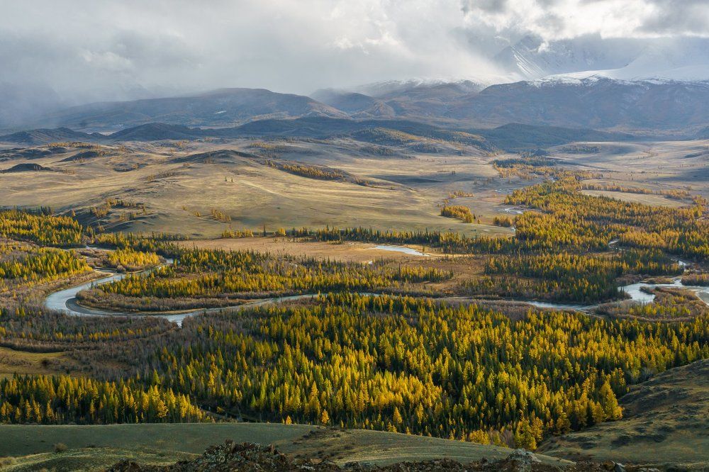 Курайская степь.