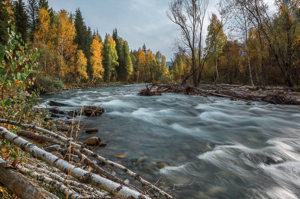Сибирская горная речка.