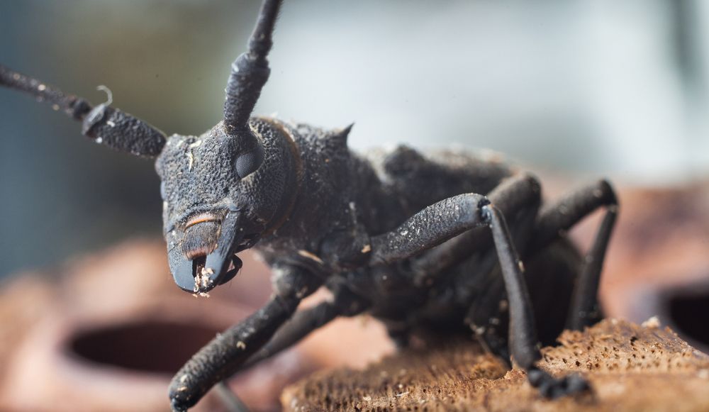 Photograph by Александр Черный